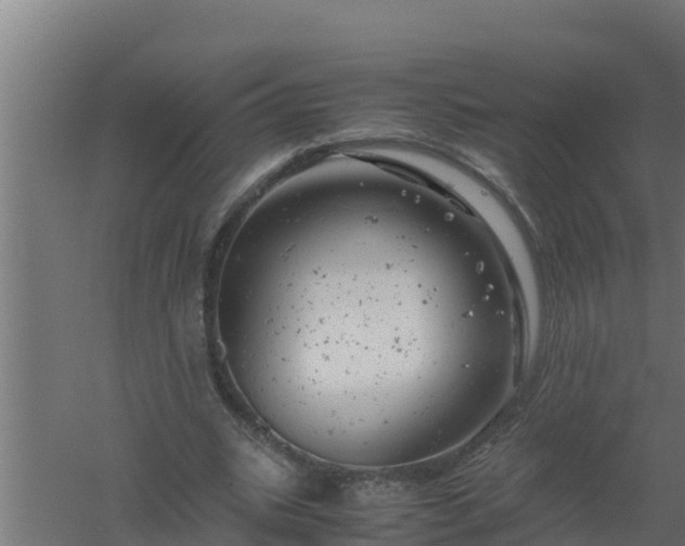 X0000061120535200511241712