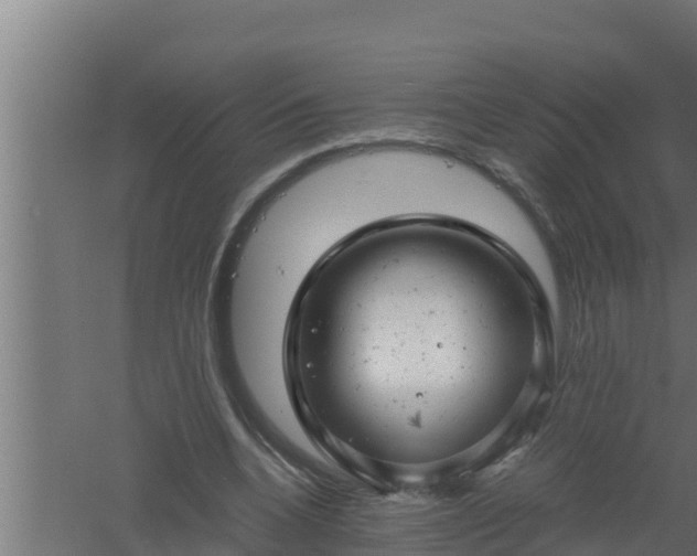 X0000061120536200511241712