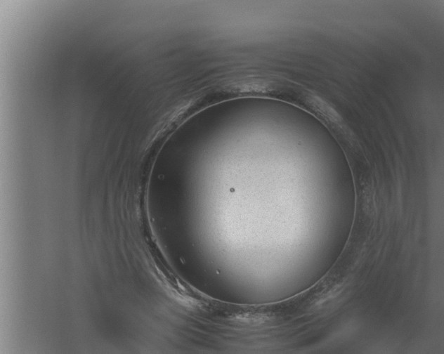 X0000061120537200511241712