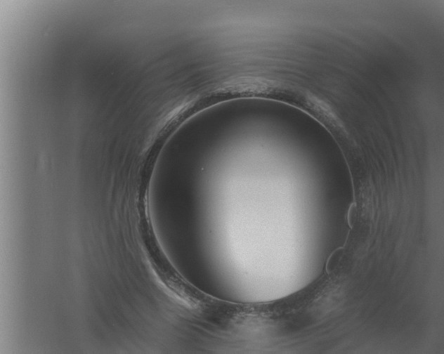 X0000061120538200511241712