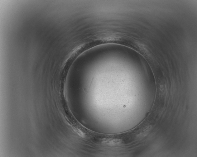 X0000061120539200511241712