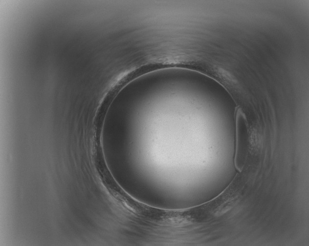 X0000061120540200511241712