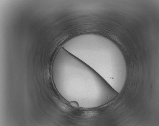 X0000061120541200511241713