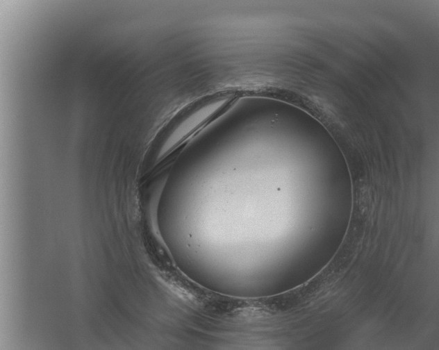 X0000061120544200511241713