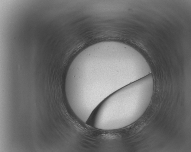 X0000061120545200511241713