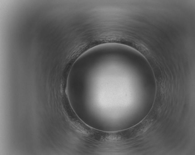 X0000061120546200511241713