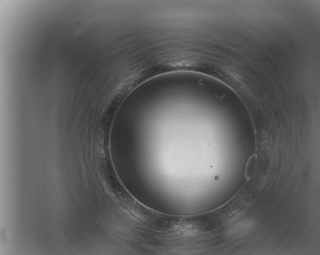 X0000061120547200511241713