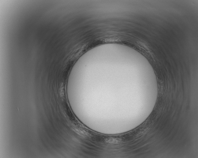 X0000061120549200511241713