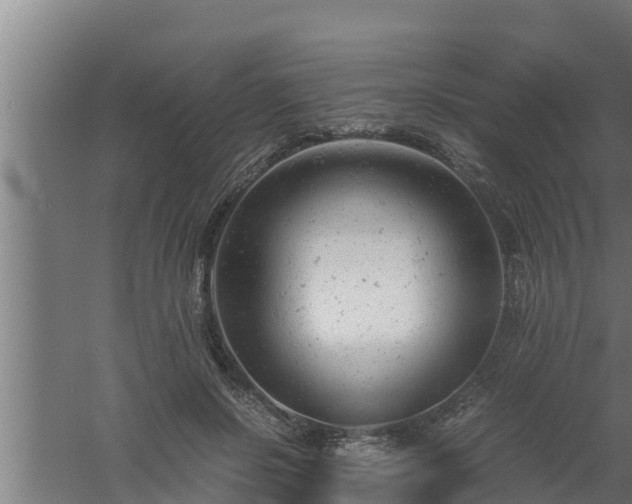 X0000061120550200511241713