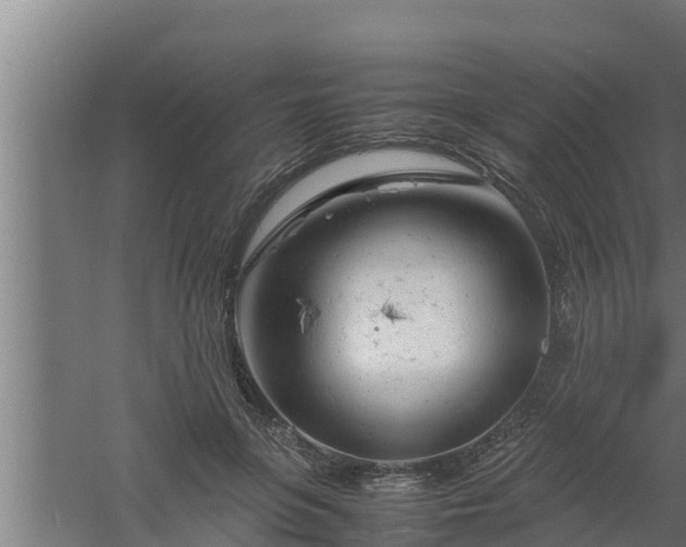 X0000061120551200511241713