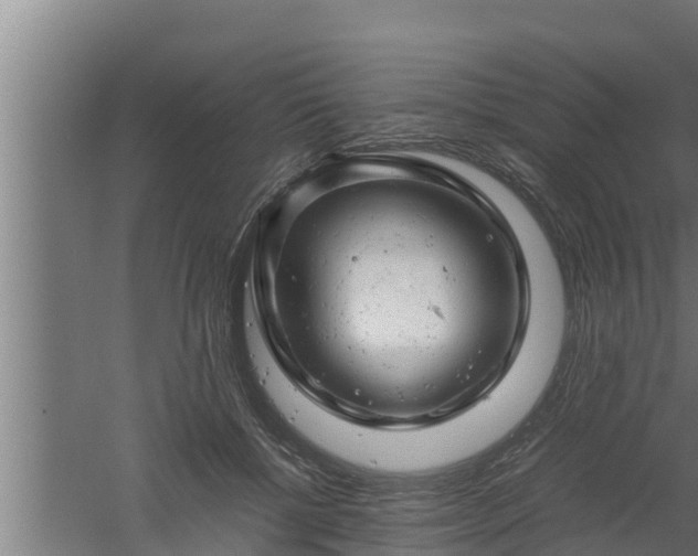 X0000061120552200511241713