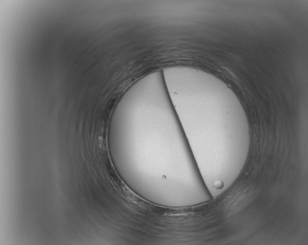 X0000061120553200511241713