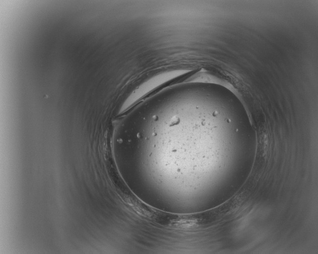 X0000061120554200511241713