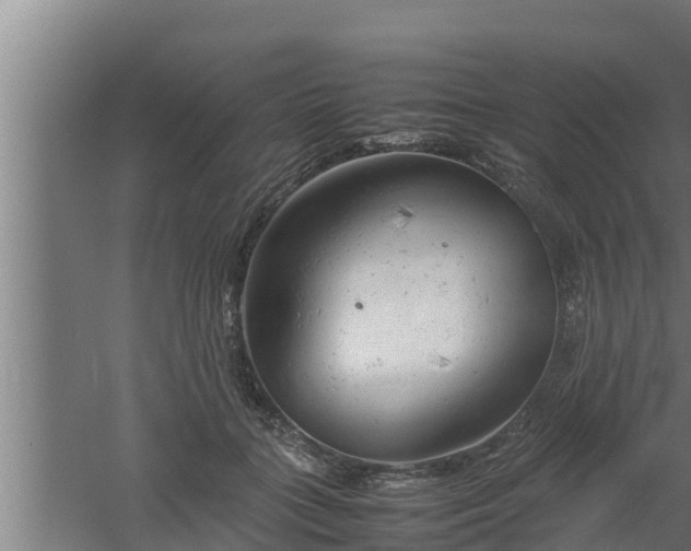 X0000061120555200511241713