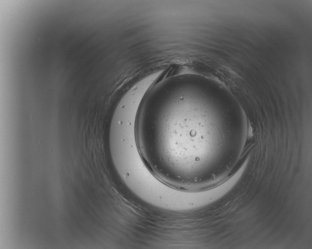 X0000061120556200511241713