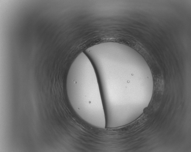 X0000061120557200511241713