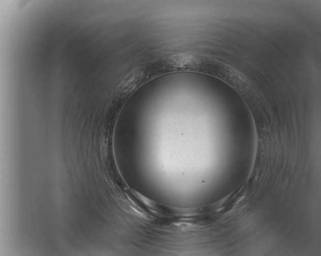 X0000061120558200511241713