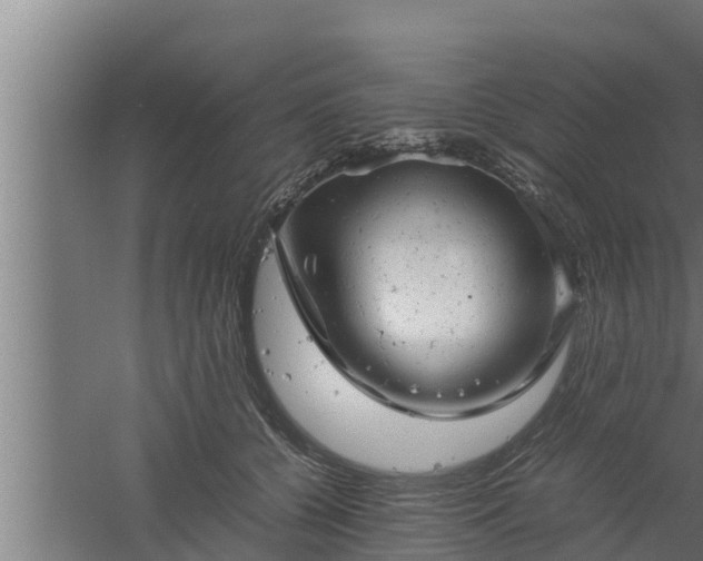 X0000061120560200511241713