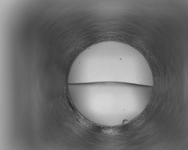 X0000061120561200511241713