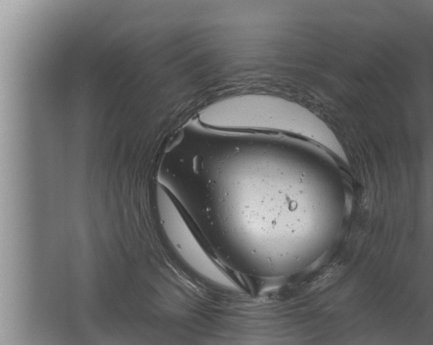 X0000061120562200511241713