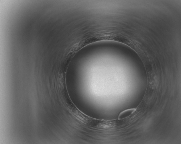 X0000061120563200511241713