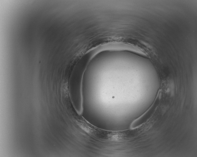 X0000061120564200511241713