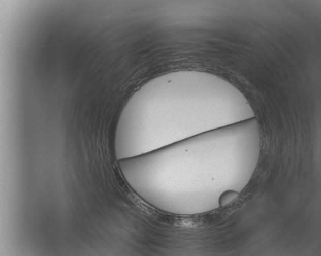 X0000061120565200511241713