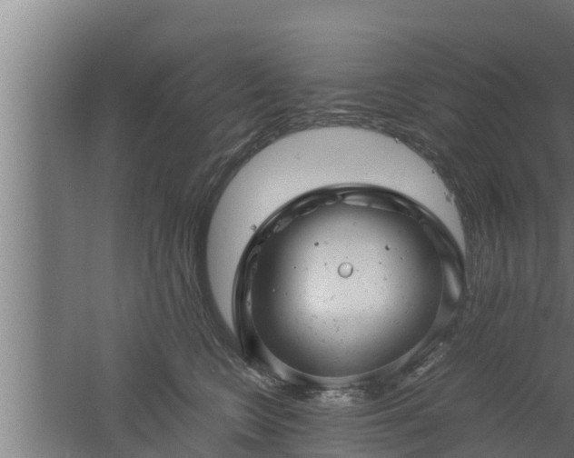 X0000061120566200511241713