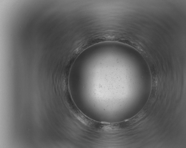 X0000061120568200511241713