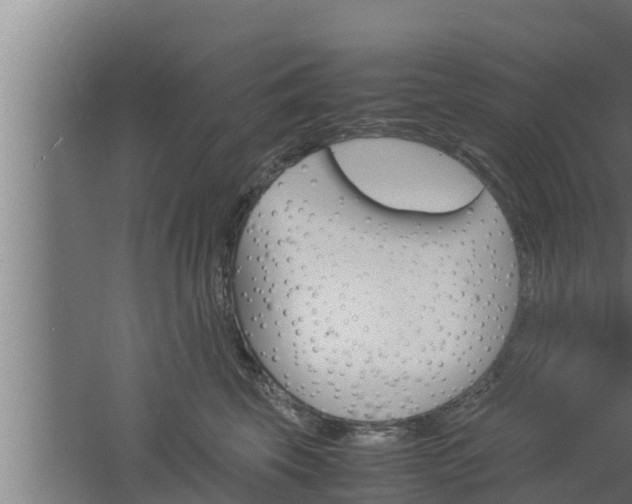 X0000061120569200511241713