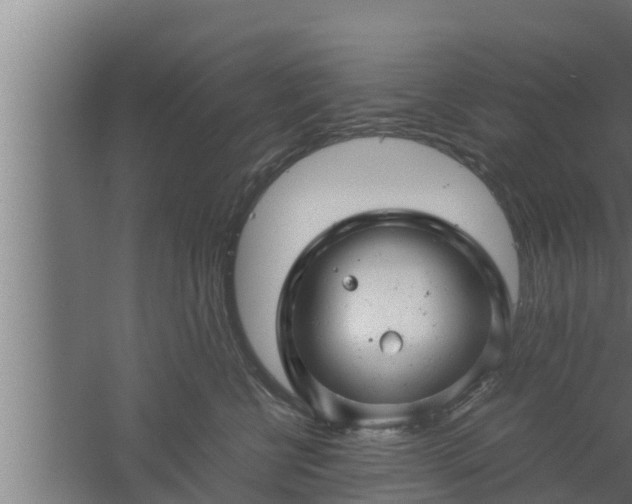 X0000061120570200511241713