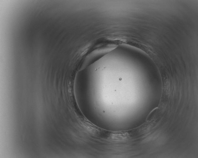 X0000061120571200511241713