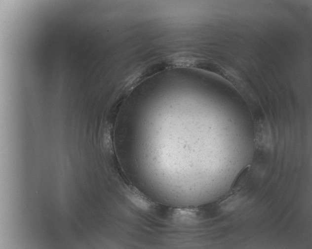 X0000061120573200511241713