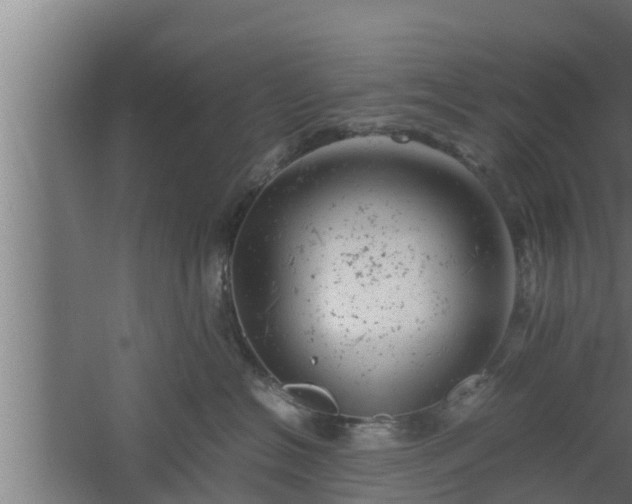 X0000061120574200511241713