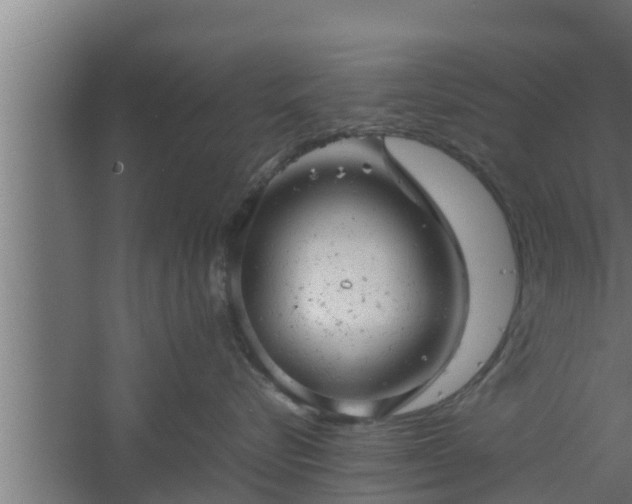 X0000061120576200511241713