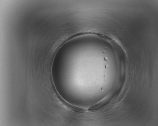 X0000061120577200511241712