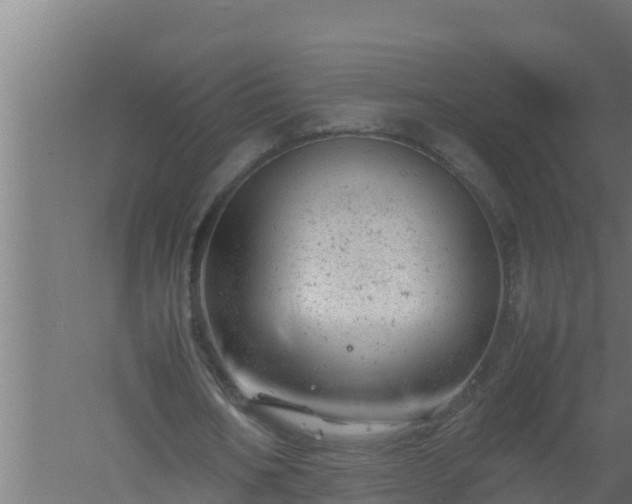 X0000061120578200511241712