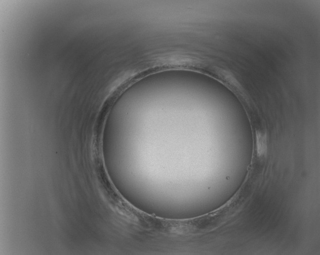 X0000061120579200511241712