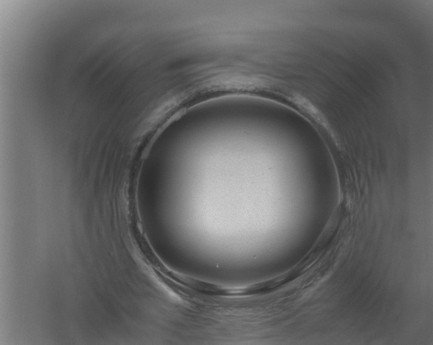 X0000061120581200511241712