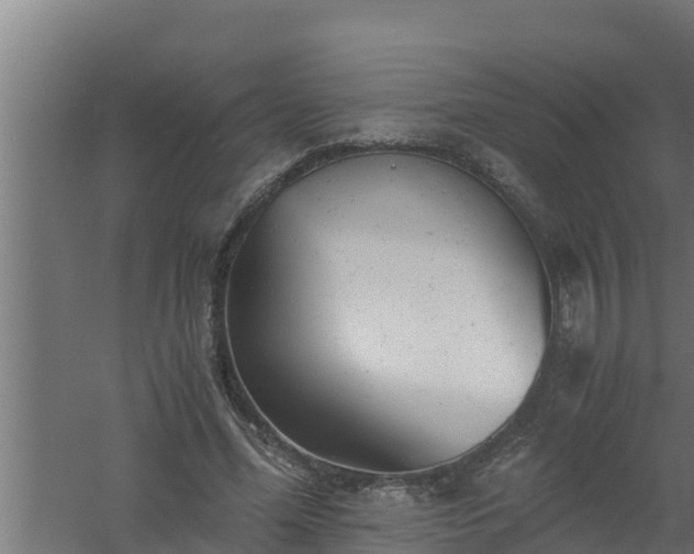 X0000061120588200511241712