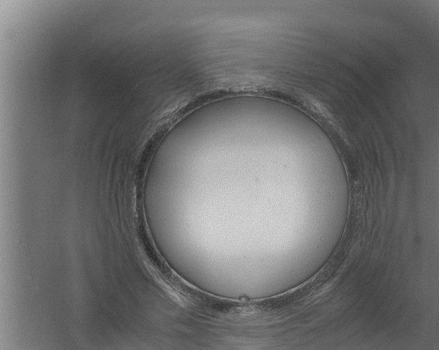 X0000061120589200511241712