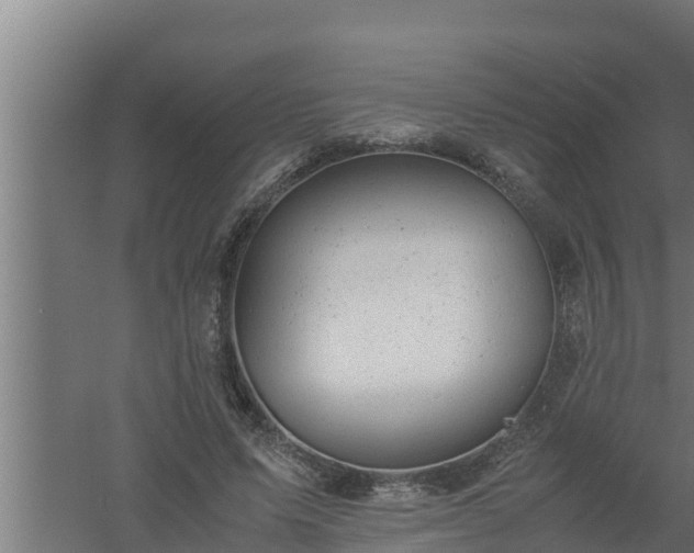 X0000061120591200511241712