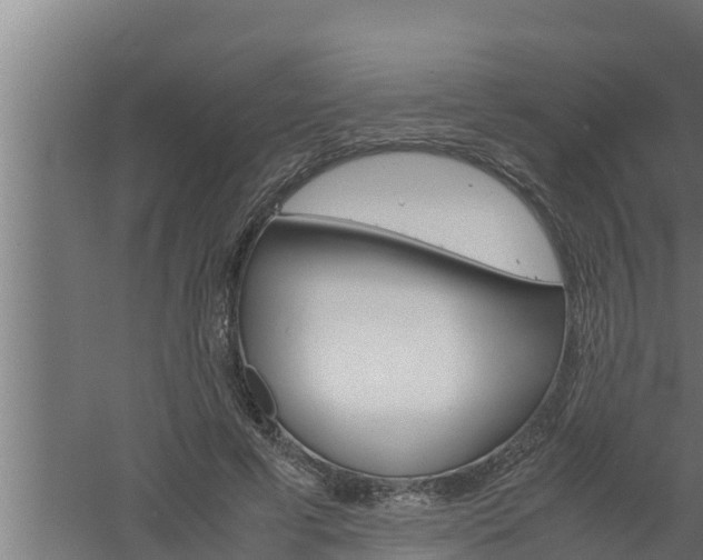 X0000061120593200511241712