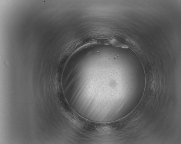 X0000061120594200511241712