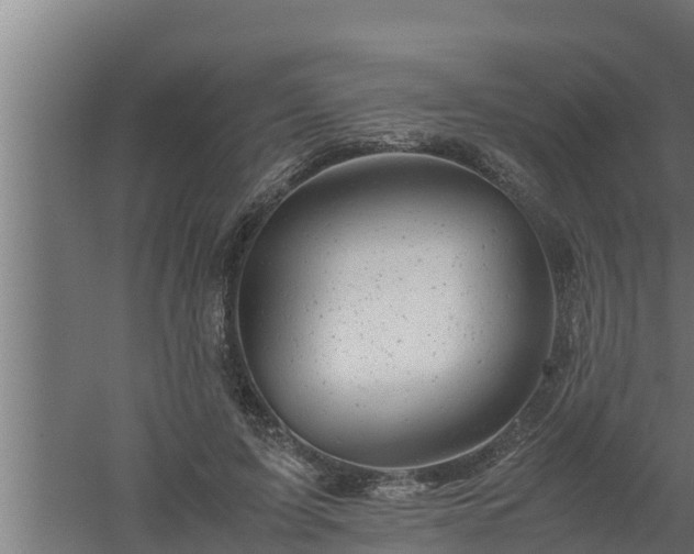 X0000061120595200511241712