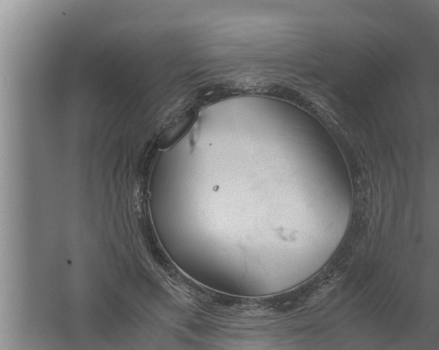 X0000061120597200511241712