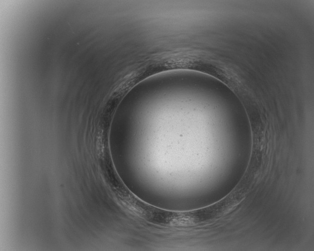 X0000061120599200511241712