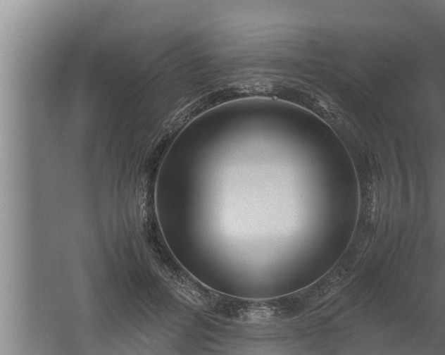 X0000061120600200511241712