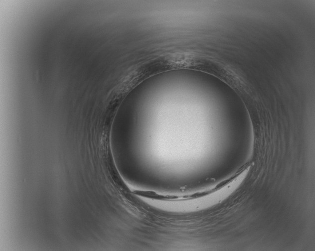 X0000061120601200511241712