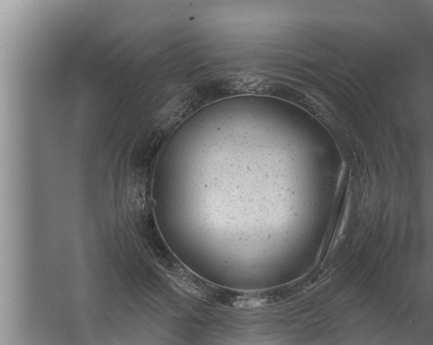 X0000061120602200511241712